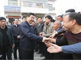 張莊村[河南省蘭考縣東壩頭鄉張莊村]