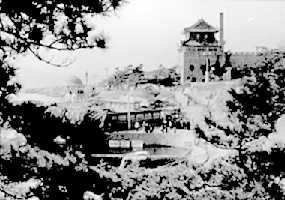 青島海產博物館