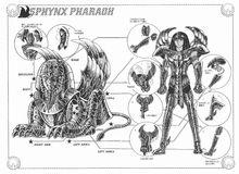 聖鬥士星矢[車田正美原作的漫畫]