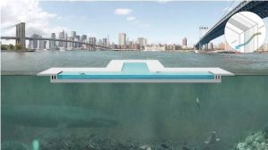 河上游泳池 河上游泳池