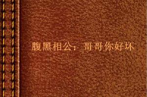 腹黑相公：哥哥你好壞