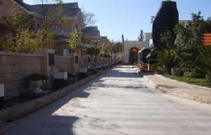 世林國際 世林國際