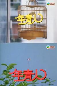 年青人[1977年TVB電視劇]