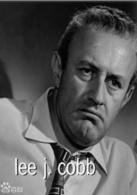 十二怒漢[美國1957年希德尼·魯邁特執導電影]