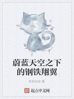 蔚藍天空之下的鋼鐵翔翼 蔚藍天空之下的鋼鐵翔翼