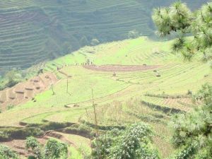 中和尚自然村 中和尚自然村