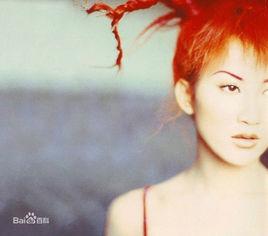 美麗笨女人[收錄於李玟的國語大碟《DiDaDi暗示》的歌曲]