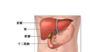 老年人膽石症 老年人膽石症