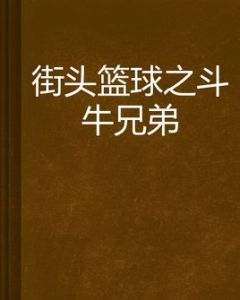 街頭籃球之鬥牛兄弟 街頭籃球之鬥牛兄弟