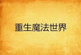 重生魔法世界 重生魔法世界