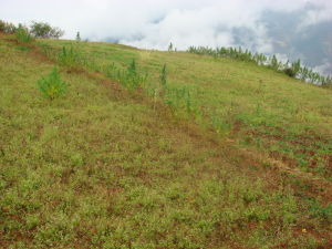 （圖）爛泥箐鄉