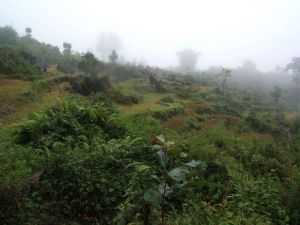 打靶期村 打靶期村