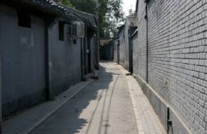 饊子王胡同 饊子王胡同