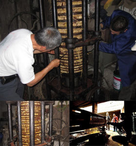 人工純物理壓榨野山茶油