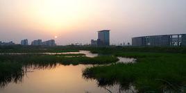 銅陵西湖新區 銅陵西湖新區