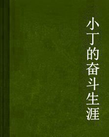 小丁的奮鬥生涯