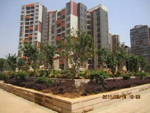 F、雅園 F、雅園