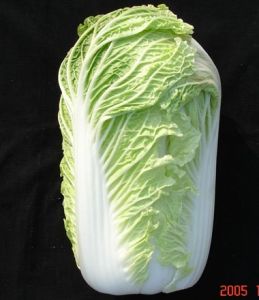 北京小雜61號 北京小雜61號