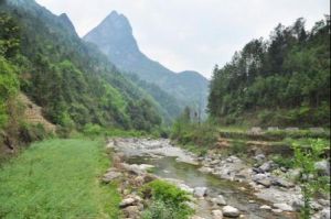 曹家鄉[四川省仁壽縣曹家鎮]