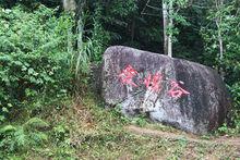 海南興隆僑鄉國家森林公園
