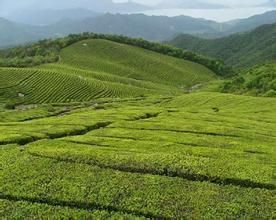 三道門森林公園 三道門森林公園