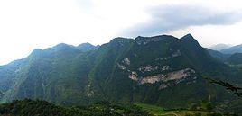 恩施市國有富爾山林場 恩施市國有富爾山林場