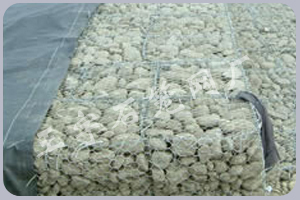 王宇石籠網 王宇石籠網