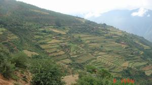 子母自然村 子母自然村