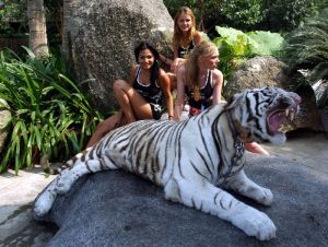 長隆夜間野生動物園