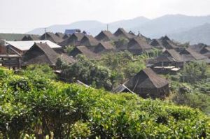 布朗民居 布朗民居