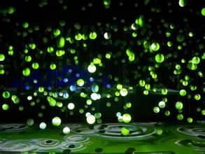 《活力矩陣》 《活力矩陣》