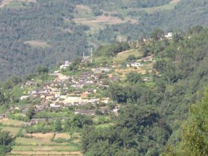 大蘆園自然村 大蘆園自然村
