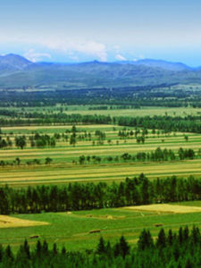 三北防護林 三北防護林