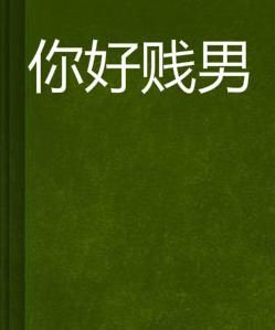 你好賤男 你好賤男
