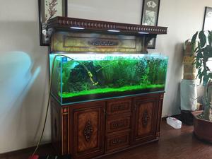 迪茨[浙江台州家居品牌]