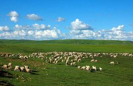 呼倫貝爾草原國家公園 呼倫貝爾草原國家公園