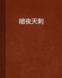 暗夜天刺 暗夜天刺