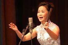 張楷[河南墜子演員]