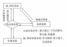 內分泌干擾物的危害