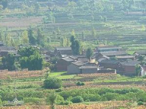 萬家莊村[山東安丘市景芝鎮下轄村]