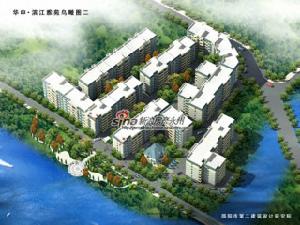 華申濱江雅苑 華申濱江雅苑