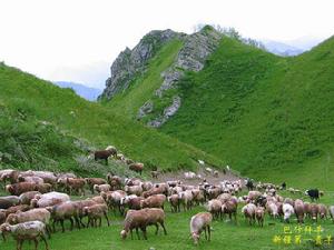 阿勒騰也木勒鄉 阿勒騰也木勒鄉