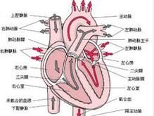 Brugada綜合徵 Brugada綜合徵