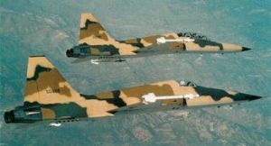 F-5自由鬥士戰鬥機 F-5自由鬥士戰鬥機