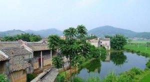 君子垌客家圍城群 君子垌客家圍城群