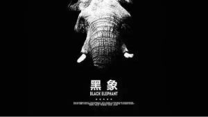 黑象 黑象