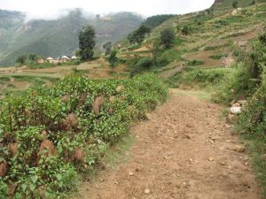 下六五村 下六五村