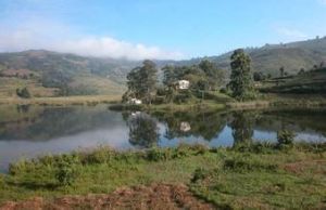 本迪布焦區 本迪布焦區