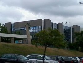 米尼奧大學 米尼奧大學