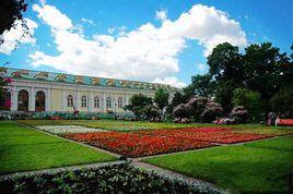 亞歷山大市 亞歷山大市